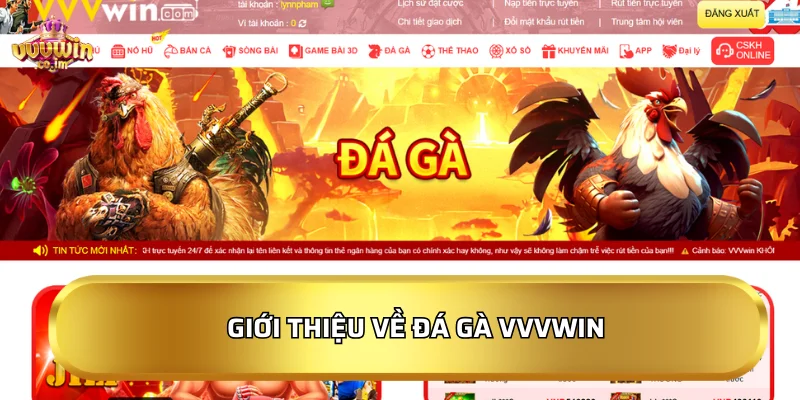 Hình ảnh tổng quan giao diện sảnh đá gà VVVWin siêu mượt mà