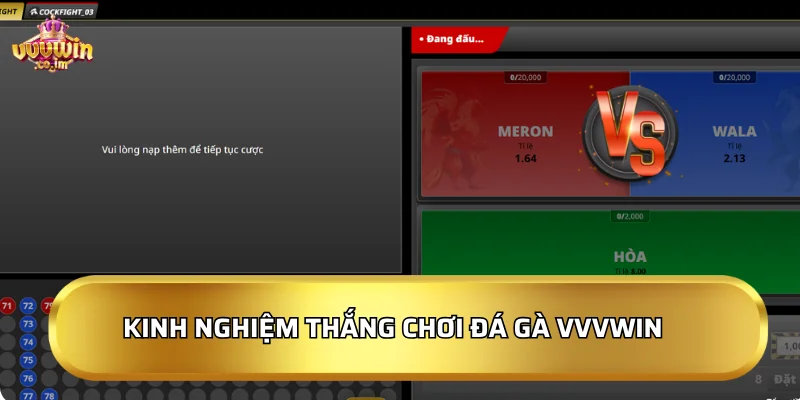 Kinh nghiệm chiến thắng khi chơi Đá Gà VVVWin